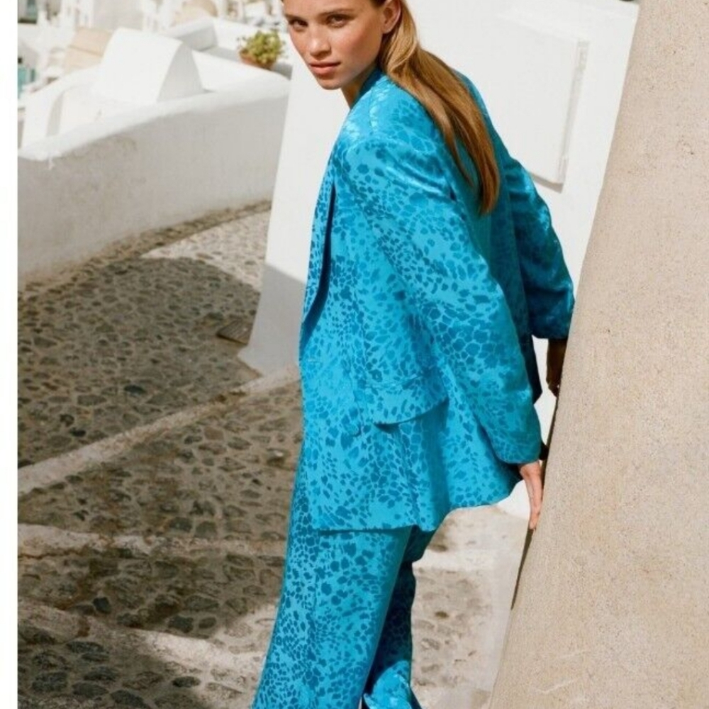 Zara wide leg animal print jacquard pants - Picture 3 of 5